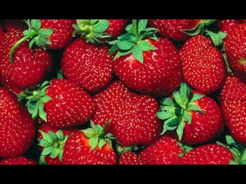 Видео: Клубничное варенье без варки/Құлпынай тосабы(қайнатылмаған)/Strawberry jam without cooking