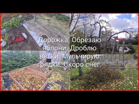 Видео: Скоро снег. Дроблю ветки. Обрезка яблонь. Дорожка. Мульчирую грядки листьями.