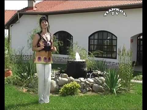 Видео: Орк. Калофер - Мома Деница (тянков тв)