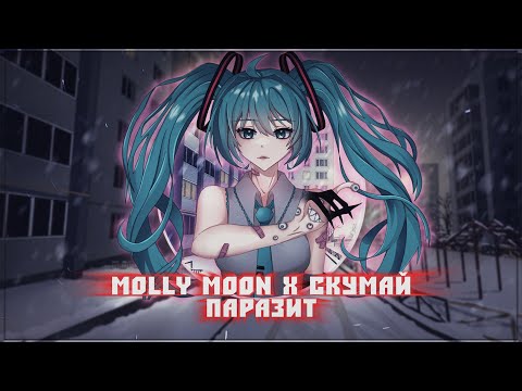 Видео: Molly Moon x Скумай — Паразит (Official Music Video)