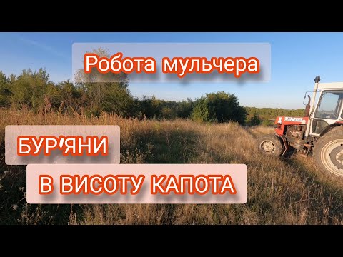 Видео: Скошую бур'яни мульчером. Італійський мульчер ROSSA