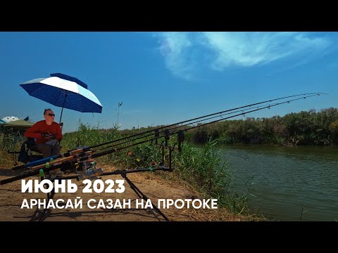 Видео: РЫБАЛКА НА АРНАСАЕ: Нарвался на клёв cазана.