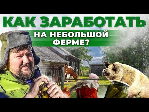 Видео: Бизнес в селе | Как переехать в деревню и зарабатывать? Животноводство и мясо | Андрей Даниленко