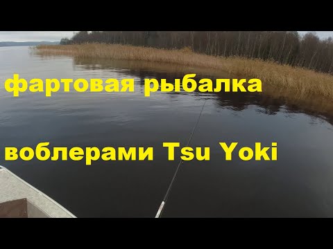 Видео: Фартовая рыбалка на Тсу Еки