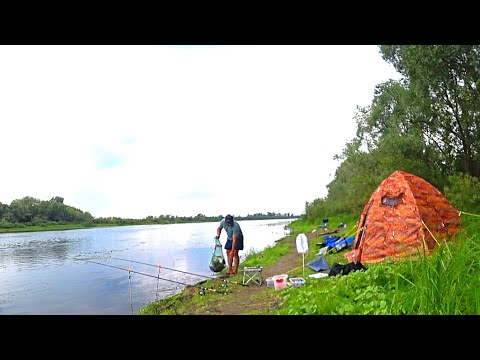 Видео: Рыбалка с ночёвкой! Оснастка на ЛЕЩА с новой кормушкой! Рыбалка на донки на Оке!