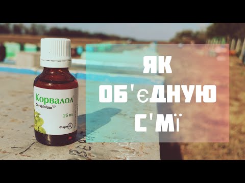 Видео: ✅Об'єднання бджолиних колоній в зиму