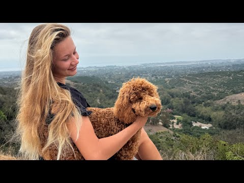Видео: Мой любимый парк в Сан-Хосе. Почему я решила вести ютюб и просто болтаем про Америку