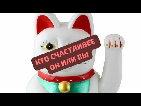 Видео: КТО СЧАСТЛИВЕЕ ОН ИЛИ ВЫ