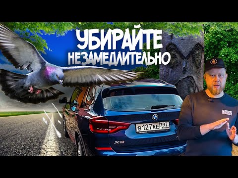 Видео: 7 ОПАСНЫХ ЗАГРЯЗНЕНИЙ ДЛЯ АВТОМОБИЛЯ