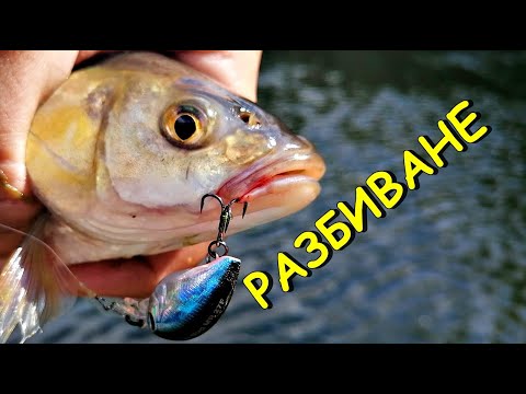 Видео: РАЗЦЕПИХ ги - НЕВЕРОЯТЕН първи СПИНИНГ РИБОЛОВ за 2022г - Този ВОБЛЕР ги ПОБЪРКА!