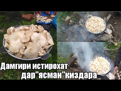 Видео: Корчини дар ясман истирохат да Киздара