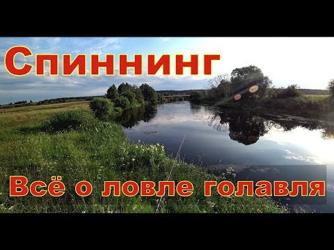 Видео: Как ловить голавля на спиннинг. Выбор места ловли. Как выбрать спиннинг. Плетёнка. Катушка. Приманки