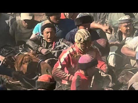 Видео: Аламан Улак Кыргызстан 30 октября 2025 г.