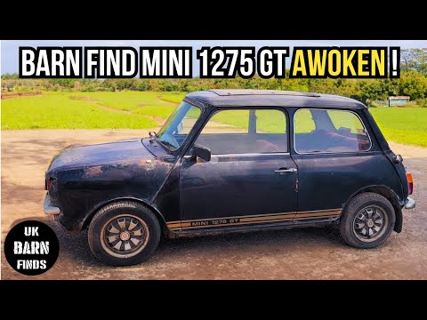 Видео: Barn Find Mini 1275 GT | 35 лет бездорожья | #barnfind #classiccars