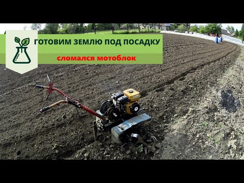 Видео: Пашем огород. Сломался мотоблок. Подсмотрел капельный полив у коллег.