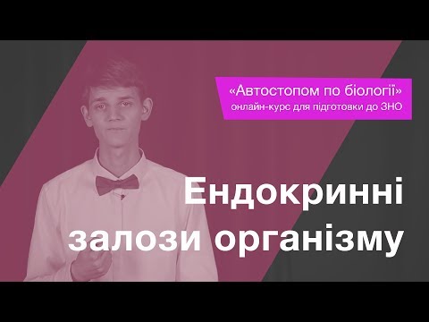 Видео: Ендокринні залози організму – Підготовка до ЗНО – Біологія