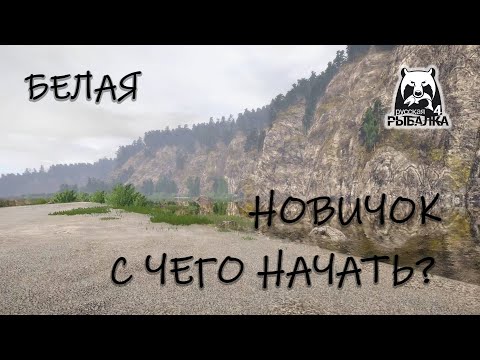 Видео: Русская рыбалка 4. Белая. Спиннинг. Как ловить новичку?