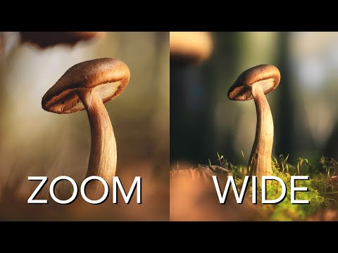Видео: Макрообъектив: широкоугольный или зум-объектив (и какой мне нравится больше!)