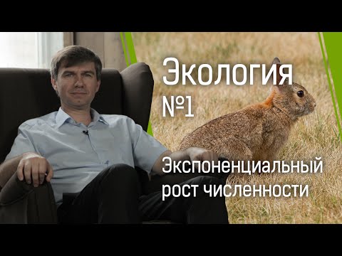 Видео: Экология №1: экспоненциальный рост численности и начало экологического движения
