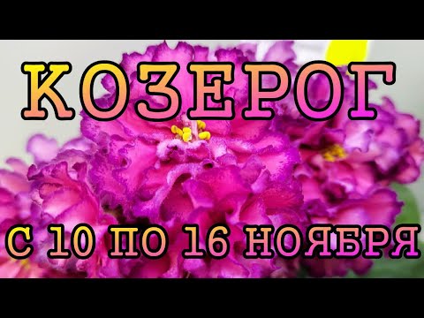 Видео: КОЗЕРОГ таро прогноз на неделю с 10 по 16 НОЯБРЯ 2025 года