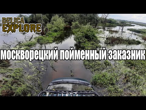 Видео: Москворецкий пойменный заказник (и немного ископаемых)