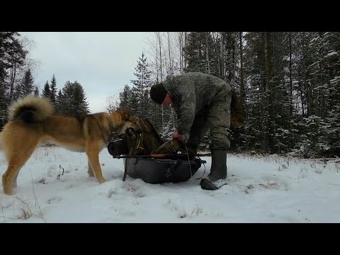 Видео: ОНИ НЕ ЗНАЛИ ЧТО ИХ ЖДЁТ В ДИКОМ ЛЕСУ. БЕЗБАШЕННЫЙ ПОХОД К ДИКОМУ ОЗЕРУ. ЛЕШИЙ ЗАВЁЛ В ГЛУШЬ