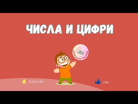 Видео: Числа и Цифри - Математика