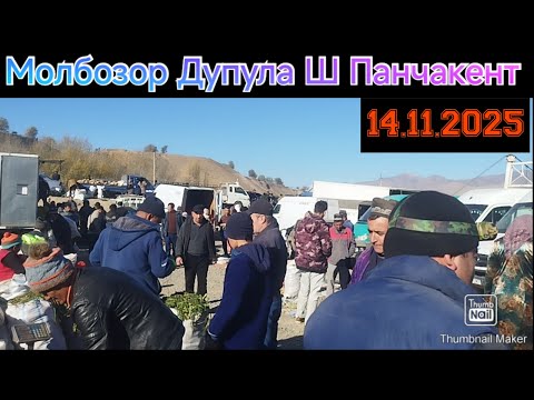 Видео: Молбозор Дупула Шаҳрий Панҷакент 14.11.2025 Тоҷикистон 