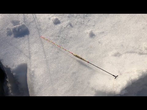 Видео: Караси на ХЕРабуну зимой в корягах! Новая оснастка в деле!