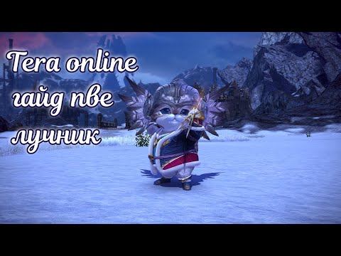 Видео: ☯ Tera online гайд лучник пве ☯ актуально для Menma и Asura 2024 ☯