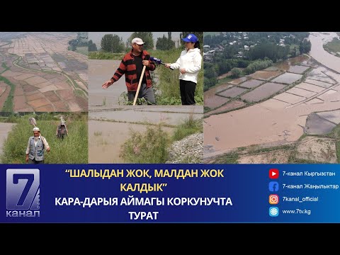 Видео: “ШАЛЫДАН ЖОК, МАЛДАН ЖОК КАЛДЫК”- КАРА-ДАРЫЯ АЙМАГЫ КОРКУНУЧТА ТУРАТ