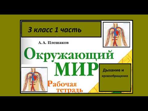 Видео: Окружающий мир 3 класс рабочая тетрадь. Дыхание и кровообращение