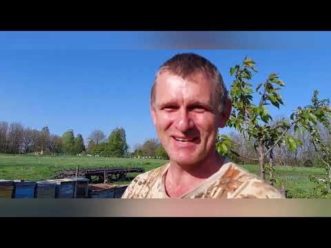 Видео: У Романа Брежнего в гостях. часть 1.