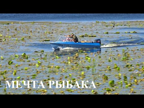 Видео: Мечта рыбака. Дамба Каневского водохранилища. (Процив - Кийлов)