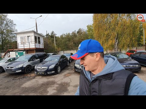 Видео: ДЕНЬ ОПЕЛЕЙ в КОНФИСКАТЕ, появились ИНСИГНИЯ 2,0Б и ВЕКТРА Б ДИЗЕЛЬ-УНИВЕРСАЛ. НОВЫЙ ОБЗОР СТОЯНКИ