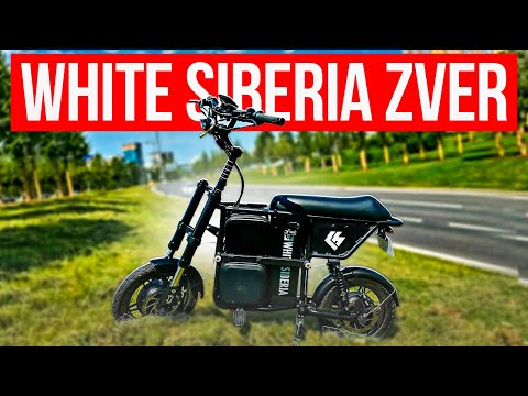 Видео: WHITE SIBERIA ZVER  - ЗВЕРЁК .....