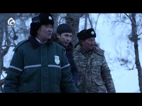 Видео: Боралдай паркі \ Үшінші мегаполис \ Асыл арна