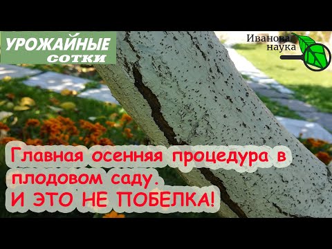 Видео: САД ЗАВАЛИТ УРОЖАЕМ! ОСОБАЯ ПРОЦЕДУРА, только сделайте ее ПО ДЕЛУ!