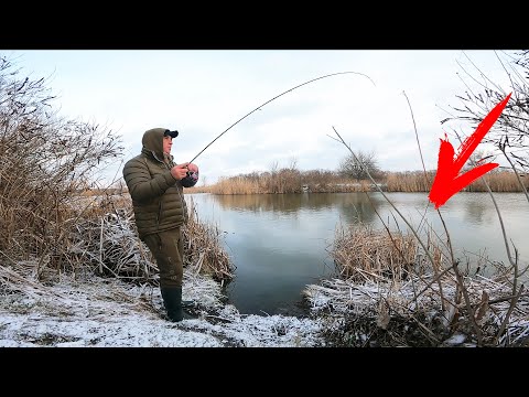 Видео: Клюнула ОГРОМНАЯ РЫБИНА!!! Зимняя рыбалка на спиннинг на щуку и окуня!