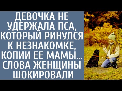 Видео: Девочка не удержала пса, который ринулся к незнакомке, копии ее мамы… Слова женщины шокировали