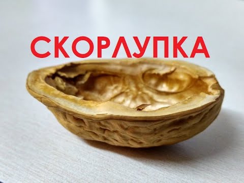 Видео: 7.Скорлупка