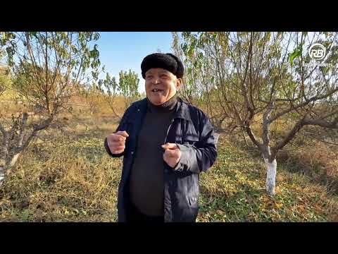 Видео: Тожиев Хоразмда😂👍