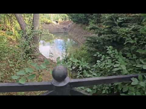 Видео: Грушевое озеро Выставка собак всех пород РКФ Симферополь 13 сентября 2025 год#Кастропуло  #питомник 