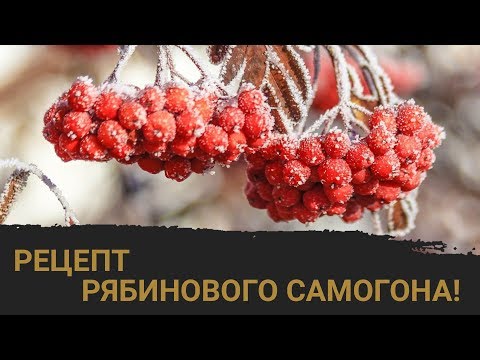 Видео: Рябиновый дистиллят на LUXSTAHL 5. Делаем и дегустируем!