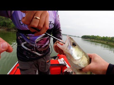 Видео: КАКУЮ ПРИМАНКУ ХОЧЕТ ХИЩНИК? Рыбалка с Сибиряком 007! Ловля Судака и Щуки на Crazy Fish Versus!