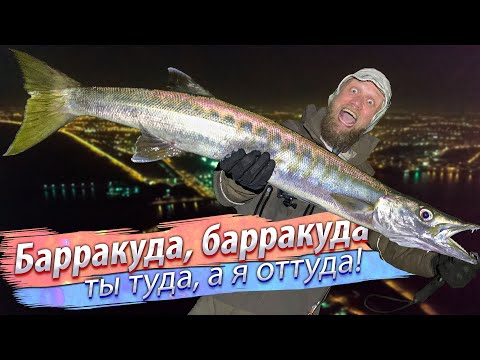 Видео: МОРСКАЯ ЩУКА! Рыбалка на спиннинг с берега моря. Огромные воблеры.
