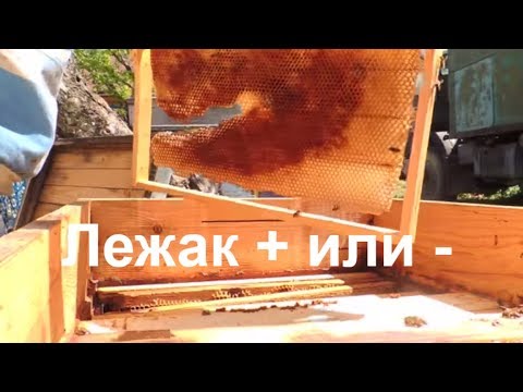 Видео: Лежак, корпусной или с магазином на 16?/пасека 2018/ на практике!!!