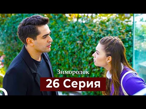Видео: Зимородок 26 Cерия (Русский дубляж)