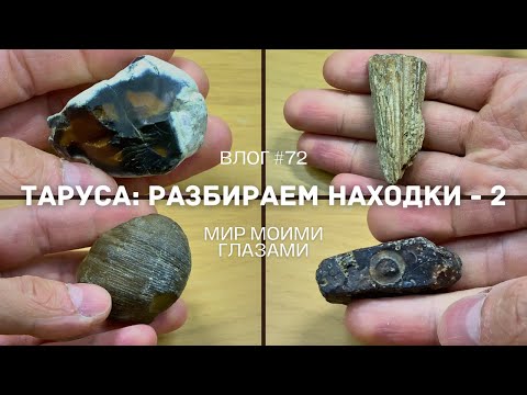 Видео: Время собирать камни. Разбираем тарусские находки. Часть 2.