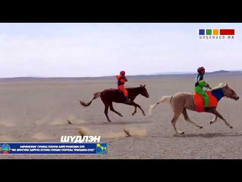 Видео: Шүдлэнгийн уралдаан / Увс аймгийн 2023 оны баруун бүс / Наранбулаг сум / Таргадын хөдөө